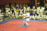 Таганрогская городская федерация сетокан карате - На 6-ом международном турнире по каратэ-до Сетокан WSKF в Индии - Унсу